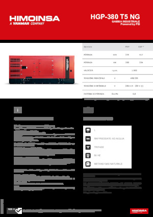Generatori a benzina HIMOINSA HGP-380 T5 NG
