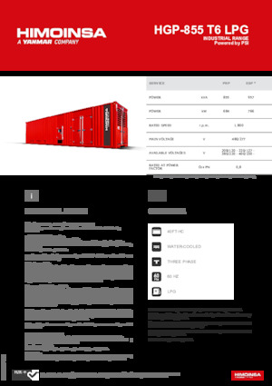 Generatori a benzina HIMOINSA HGP-855 T6 LPG