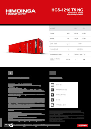 Generatori a benzina HIMOINSA HGS-1210 T5 NG