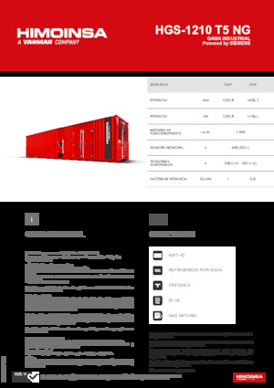 Generatori a benzina HIMOINSA HGS-1210 T5 NG