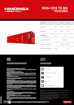 Generatori a benzina HIMOINSA HGS-1210 T5 NG
