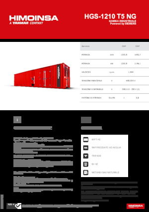 Generatori a benzina HIMOINSA HGS-1210 T5 NG