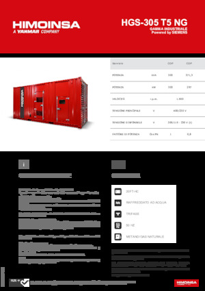 Generatori a benzina HIMOINSA HGS-305 T5 NG