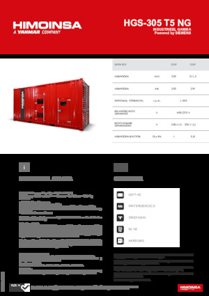 Generatori a benzina HIMOINSA HGS-305 T5 NG