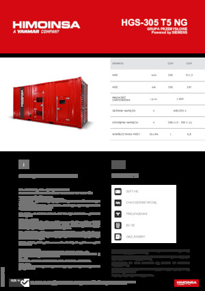 Generatori a benzina HIMOINSA HGS-305 T5 NG