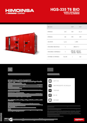 Generatori a benzina HIMOINSA HGS-335 T6 BIO