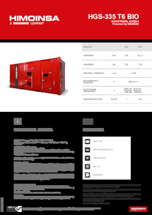Generatori a benzina HIMOINSA HGS-335 T6 BIO