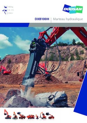 Martelli demolitori idraulici Doosan DXB100H