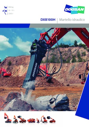 Martelli demolitori idraulici Doosan DXB100H