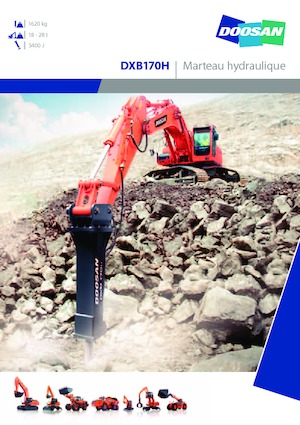 Martelli demolitori idraulici Doosan DXB170H