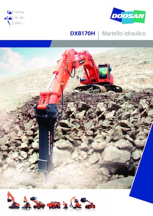 Martelli demolitori idraulici Doosan DXB170H