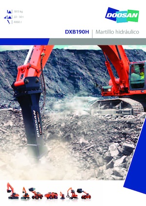 Martelli demolitori idraulici Doosan DXB190H