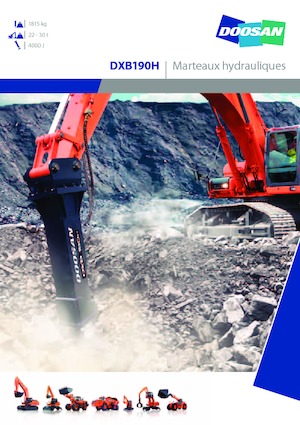 Martelli demolitori idraulici Doosan DXB190H