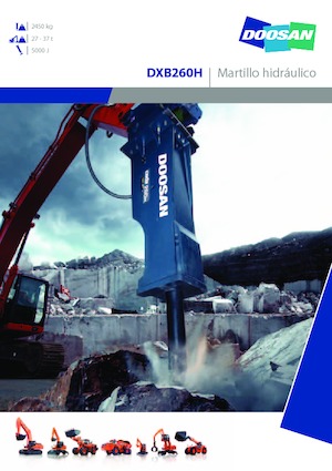 Martelli demolitori idraulici Doosan DXB260H