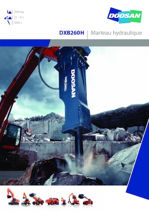 Martelli demolitori idraulici Doosan DXB260H