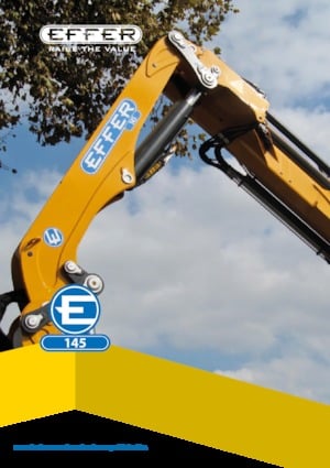 Gru per autocarro idrauliche Effer 145 3S