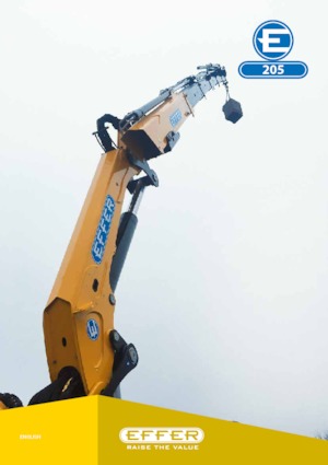 Gru per autocarro idrauliche Effer 205 4S