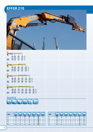 Gru per autocarro idrauliche Effer 210 6S