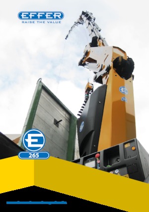 Gru per autocarro idrauliche Effer 265 4S