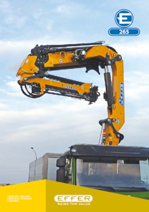 Gru per autocarro idrauliche Effer 265 4S