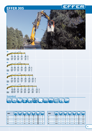 Gru per autocarro idrauliche Effer 305.11 3S