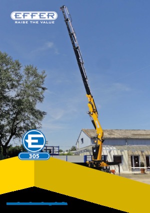 Gru per autocarro idrauliche Effer 305 5S
