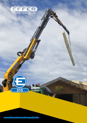 Gru per autocarro idrauliche Effer 315 6S