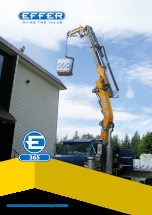 Gru per autocarro idrauliche Effer 365 4S