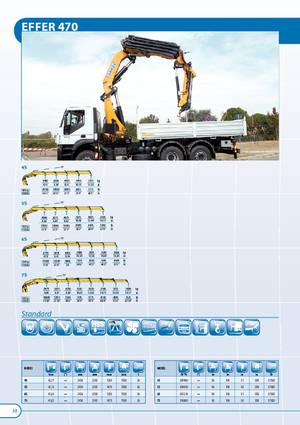 Gru per autocarro idrauliche Effer 470 5S