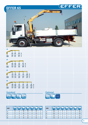 Gru per autocarro idrauliche Effer 65 2S