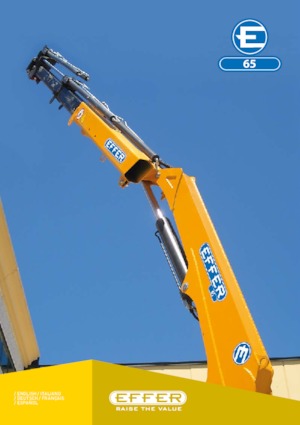 Gru per autocarro idrauliche Effer 65 4S