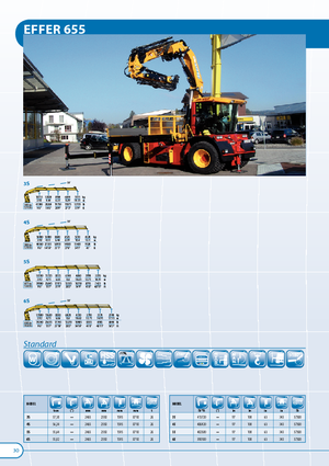 Gru per autocarro idrauliche Effer 655 3S
