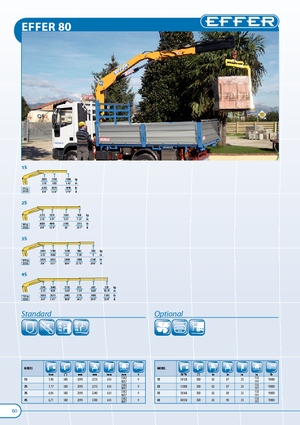 Gru per autocarro idrauliche Effer 80 1S