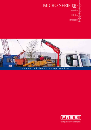 Gru per autocarro idrauliche Fassi M 20 A 13 Teleskop