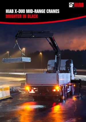 Gru per autocarro idrauliche Hiab X-Duo 218 B-3 