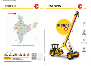 Gru semoventi industriali Escorts Hydra 1342