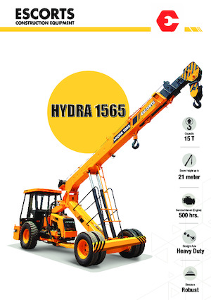 Gru semoventi industriali Escorts Hydra 1565