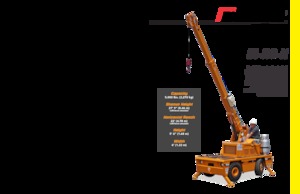 Gru semoventi industriali Broderson IC-20