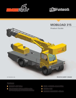 Gru semoventi industriali Til MOBILOAD 315