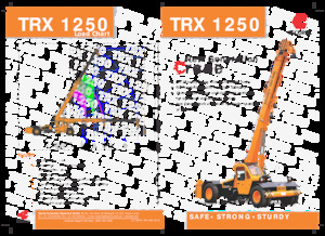 Gru semoventi industriali Escorts TRX 1250