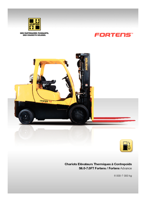 Carrelli elevatori frontali a gas Hyster S6.0FT