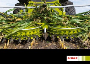 Mietitrebbie - testate per mais Claas Orbis 900