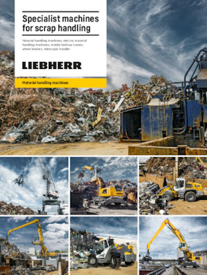 Movimentatori di materiali Liebherr LH 26 P Industry Litronic