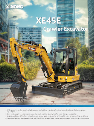 Miniescavatori XCMG XE45E