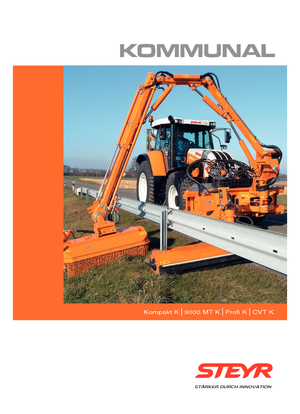 Trattori per uso municipale Steyr 6195 CVT K