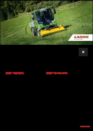 Veicoli comunali multiuso diesel Ladog E 1400