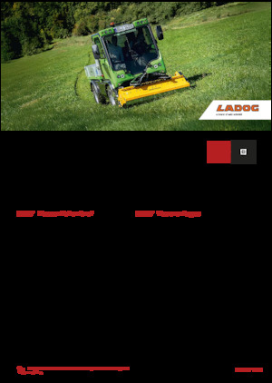 Veicoli comunali multiuso diesel Ladog E 1400