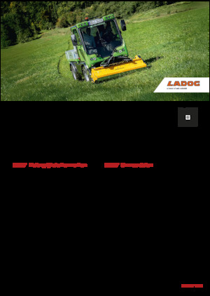 Veicoli comunali multiuso diesel Ladog E 1400