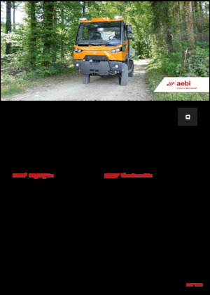 Veicoli comunali multiuso diesel Aebi MT 770