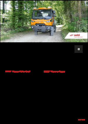 Veicoli comunali multiuso diesel Aebi MT 760